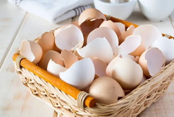 egg-shells-in-basket