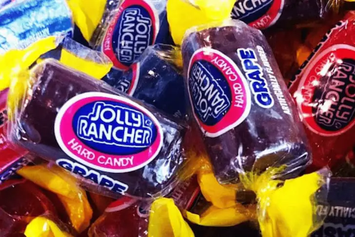 My Dog Ate a Jolly Rancher: What to Do? - Animal Giant