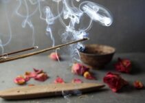 My Dog Ate Incense Sticks: What to Do?